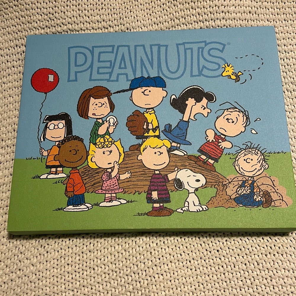 Peanuts Charlie Brown Canvas Wall Art